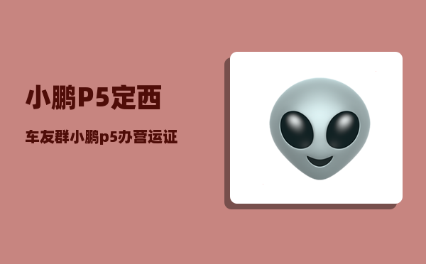 小鹏P5定西车友群_小鹏p5办营运证划算嘛-图1