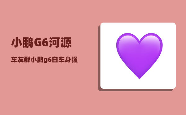 小鹏G6河源车友群_小鹏g6白车身强度-图1