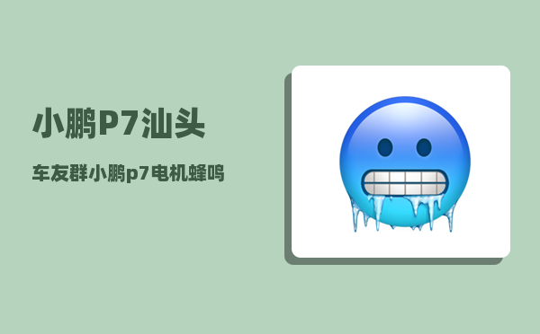 小鹏P7汕头车友群_小鹏p7电机蜂鸣声太大-图1