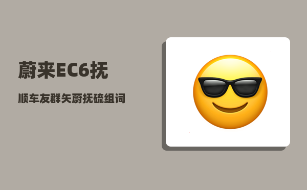 蔚来EC6抚顺车友群_矢蔚抚硫组词-图1