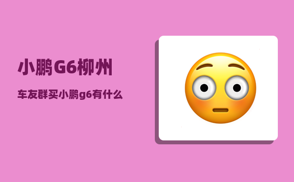 小鹏G6柳州车友群_买小鹏g6有什么赠品-图1