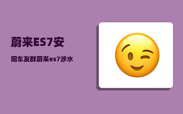 蔚来ES7安阳车友群_蔚来es7涉水深度-图1
