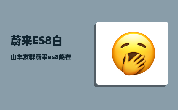 蔚来ES8白山车友群_蔚来es8能在家充电吗-图1