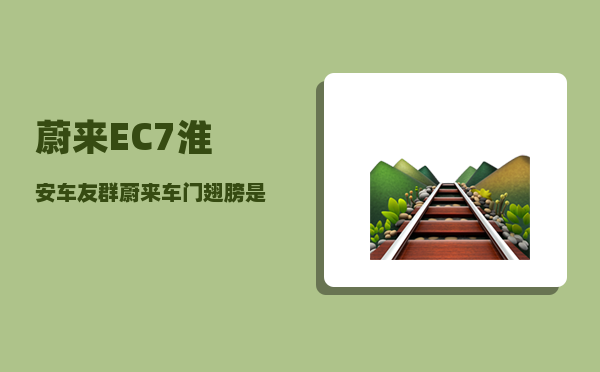 蔚来EC7淮安车友群_蔚来车门翅膀是哪款-图1