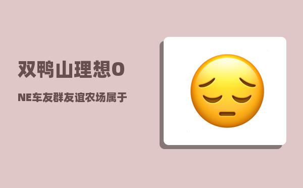 双鸭山理想ONE车友群_友谊农场属于哪个市-图1