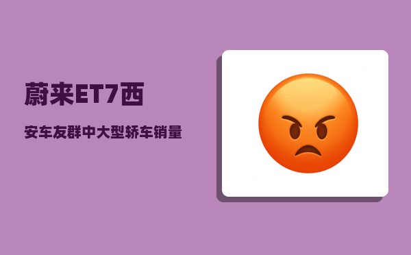 蔚来ET7西安车友群_中大型轿车销量排行榜前十名-图1
