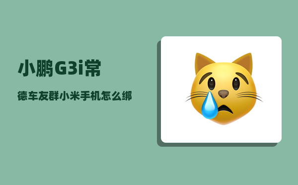 小鹏G3i常德车友群_小米手机怎么绑定小鹏汽车nfc-图1