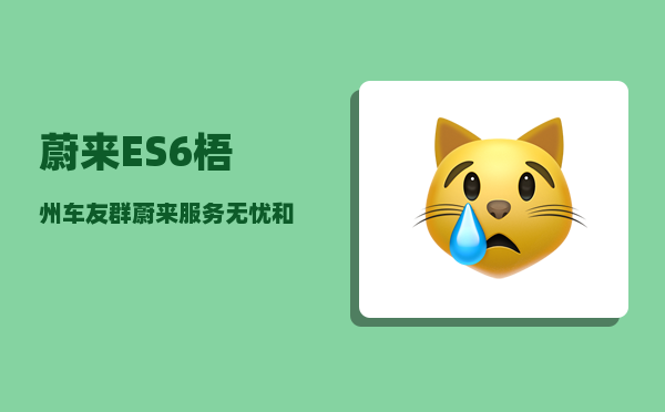 蔚来ES6梧州车友群_蔚来服务无忧和保险无忧如何选择-图1