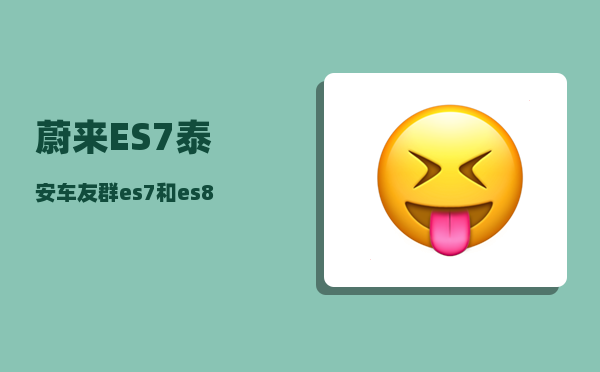 蔚来ES7泰安车友群_es7和es8咋选-图1
