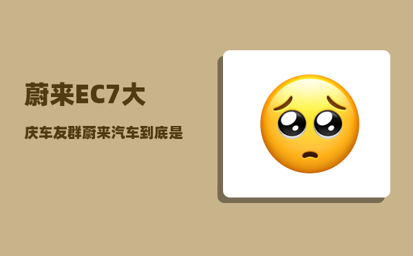 蔚来EC7大庆车友群_蔚来汽车到底是一家什么样的公司-图1
