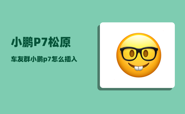 小鹏P7松原车友群_小鹏p7怎么插入u盘-图1