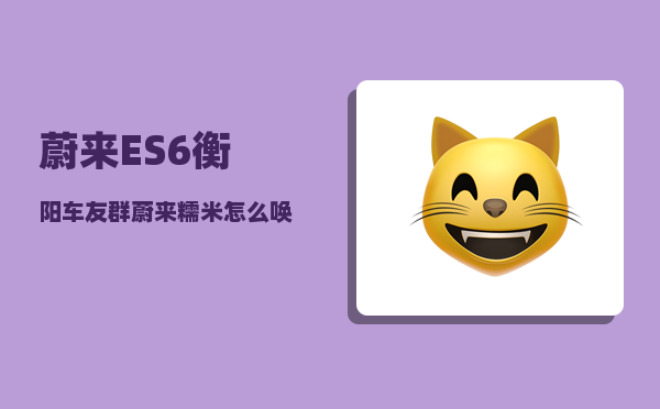 蔚来ES6衡阳车友群_蔚来糯米怎么唤醒不了-图1