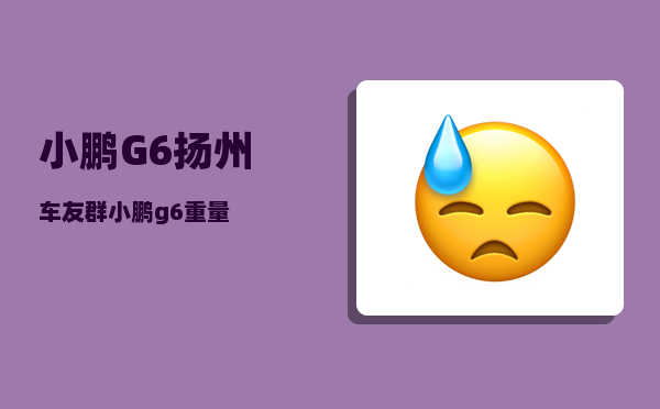 小鹏G6扬州车友群_小鹏g6重量-图1