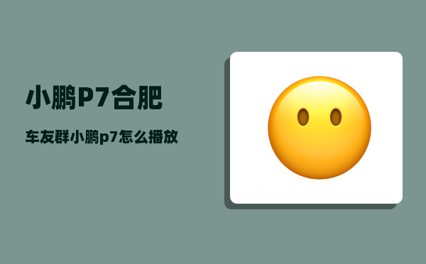 小鹏P7合肥车友群_小鹏p7怎么播放u盘音乐-图1