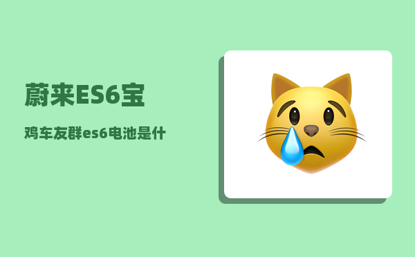 蔚来ES6宝鸡车友群_es6电池是什么牌子-图1