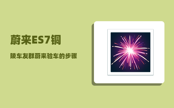 蔚来ES7铜陵车友群_蔚来验车的步骤-图1