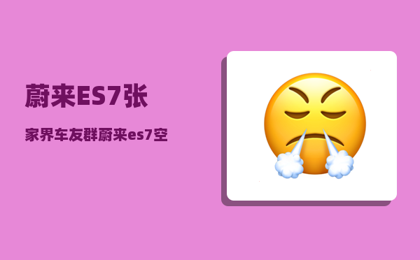 蔚来ES7张家界车友群_蔚来es7空气悬挂什么牌子-图1