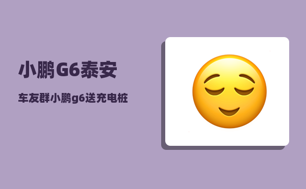 小鹏G6泰安车友群_小鹏g6送充电桩吗-图1