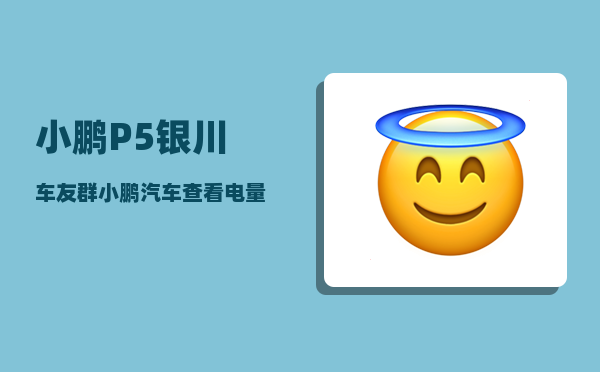 小鹏P5银川车友群_小鹏汽车查看电量百分比-图1