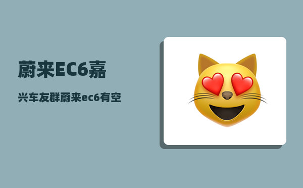 蔚来EC6嘉兴车友群_蔚来ec6有空气悬挂吗-图1