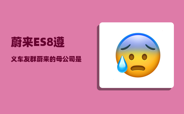 蔚来ES8遵义车友群_蔚来的母公司是谁-图1