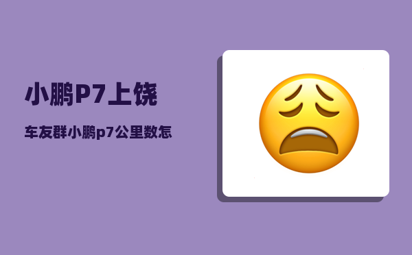 小鹏P7上饶车友群_小鹏p7车架号去哪里拓印-图1