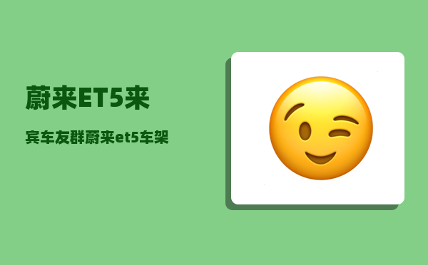 蔚来ET5来宾车友群_蔚来et5车架号位置-图1