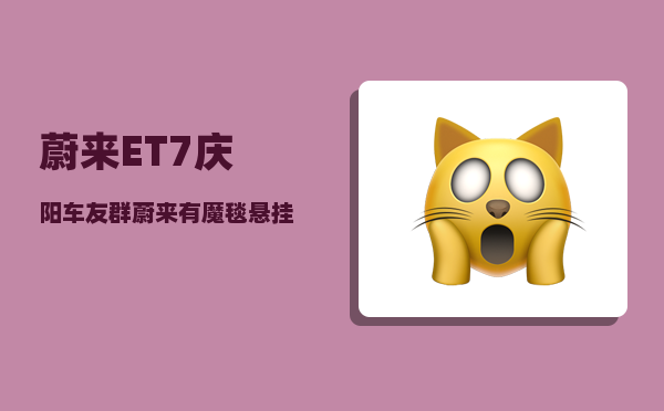 蔚来ET7庆阳车友群_蔚来有魔毯悬挂吗-图1