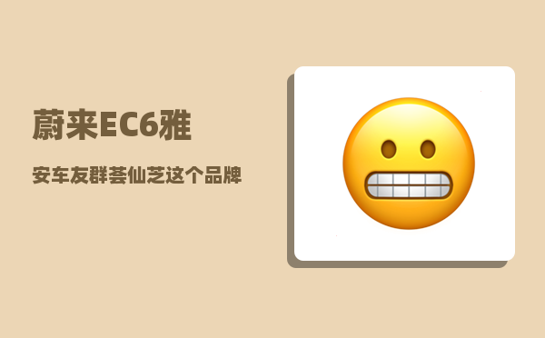 蔚来EC6雅安车友群_荟仙芝这个品牌怎么样-图1