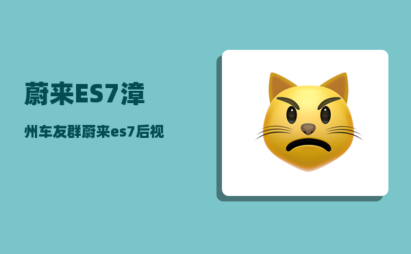 蔚来ES7漳州车友群_蔚来es7后视镜怎么贴车衣-图1