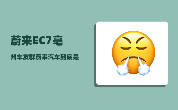 蔚来EC7亳州车友群_蔚来汽车到底是一家什么样的公司-图1