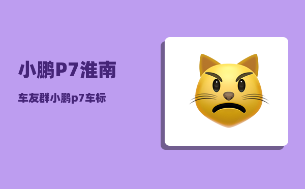 小鹏P7淮南车友群_小鹏p7车标-图1