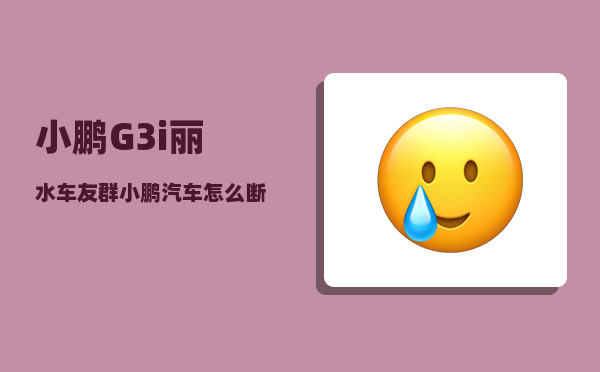 小鹏G3i丽水车友群_小鹏汽车怎么断电锁车-图1