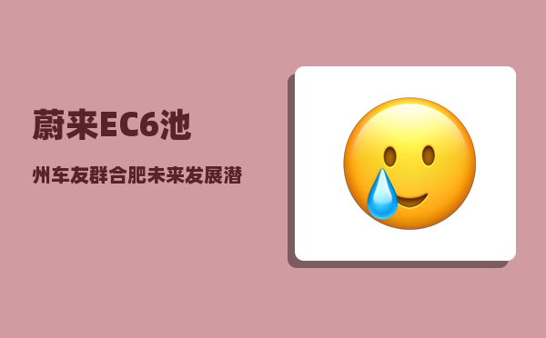 蔚来EC6池州车友群_合肥未来发展潜力有多大-图1