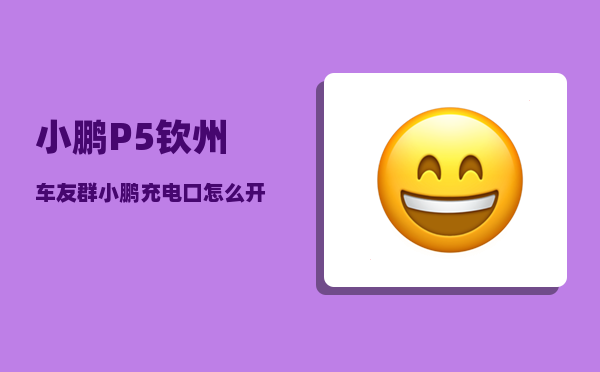 小鹏P5钦州车友群_小鹏充电口怎么开-图1