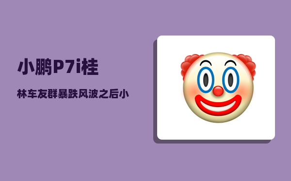 小鹏P7i桂林车友群_暴跌风波之后小鹏调整了什么-图1