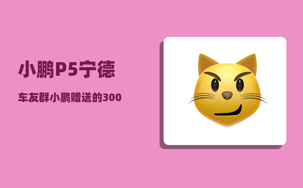 小鹏P5宁德车友群_小鹏赠送的3000度电是每年都有么-图1