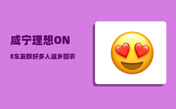 咸宁理想ONE车友群_好多人返乡回农村做电商现在怎么样了-图1