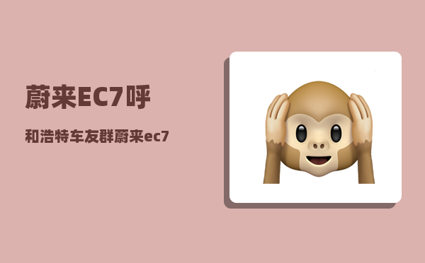 蔚来EC7呼和浩特车友群_蔚来ec7真皮座椅刀口划痕怎么去除-图1