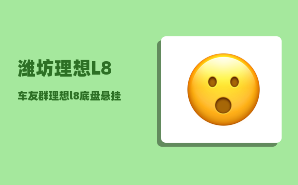潍坊理想L8车友群_理想l8底盘悬挂咋样-图1
