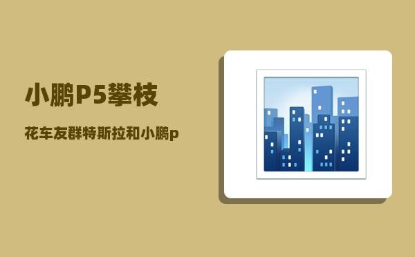 小鹏P5攀枝花车友群_特斯拉和小鹏p5哪个值得购买-图1