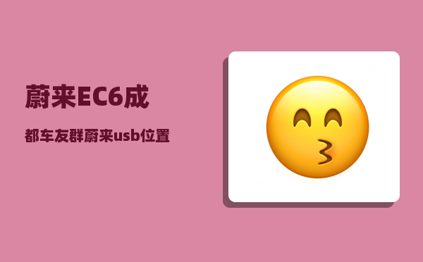 蔚来EC6成都车友群_蔚来usb位置-图1
