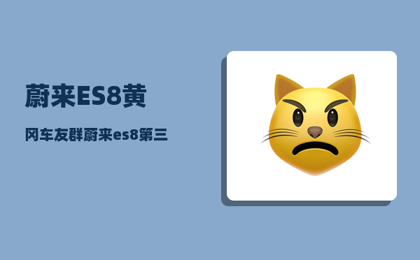 蔚来ES8黄冈车友群_蔚来es8第三排不能放倒-图1