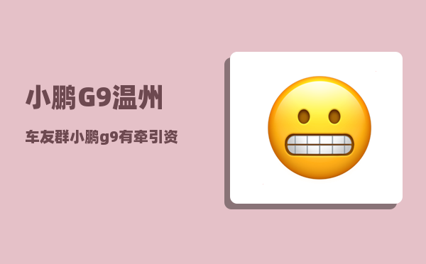 小鹏G9温州车友群_小鹏g9丹拿音响是什么级别-图1