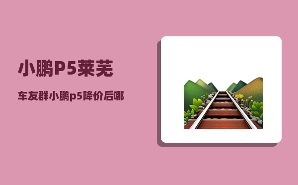 小鹏P5莱芜车友群_小鹏p5降价后哪个版本值得入手-图1