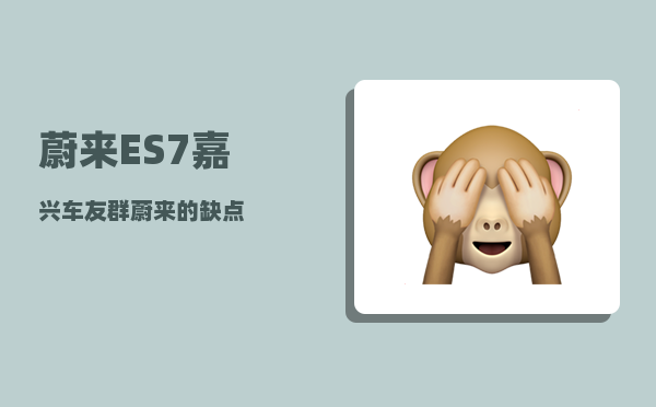 蔚来ES7嘉兴车友群_蔚来的缺点-图1