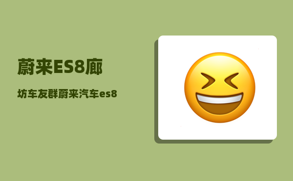 蔚来ES8廊坊车友群_蔚来汽车es8里程怎么看-图1