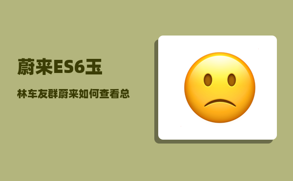 蔚来ES6玉林车友群_蔚来如何查看总公里数-图1