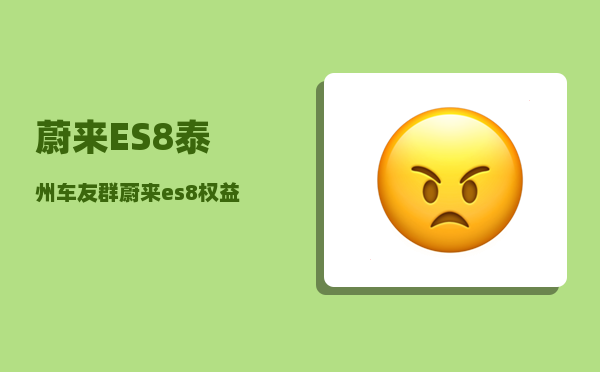 蔚来ES8泰州车友群_蔚来es8权益有哪些-图1