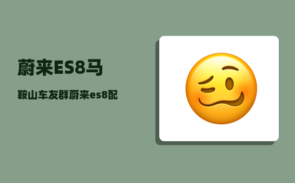 蔚来ES8马鞍山车友群_蔚来es8配色推荐-图1